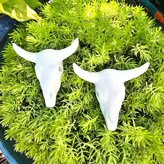 Pair of Cow Bull Skulls 3.25" Ceramic Bisque Ready To Paint Pottery
