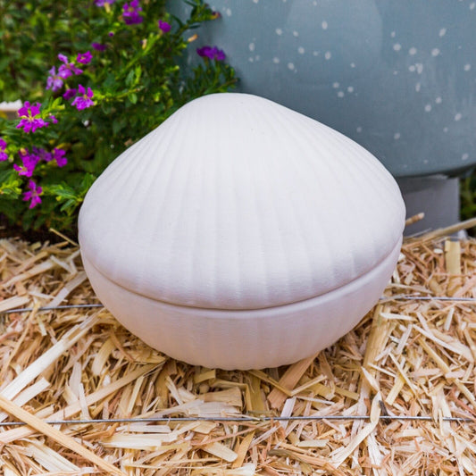 Clam Seashell Jewelry Box 4.7" Ceramic Bisque Ready To Paint Pottery