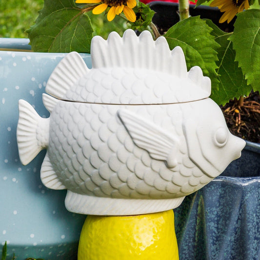 Tropical Fish Box Container 6.75" Ceramic Bisque Ready To Paint Pottery