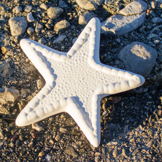 Flat Starfish Decorative 4" Ceramic Bisque Ready To Paint Pottery