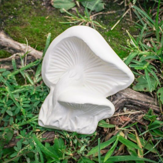 Flat Mushrooms Decoration 5x4 Ceramic Bisque Ready To Paint Pottery