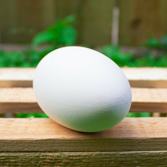 Smooth Easter Egg 3x2 Ceramic Bisque Ready To Paint Pottery