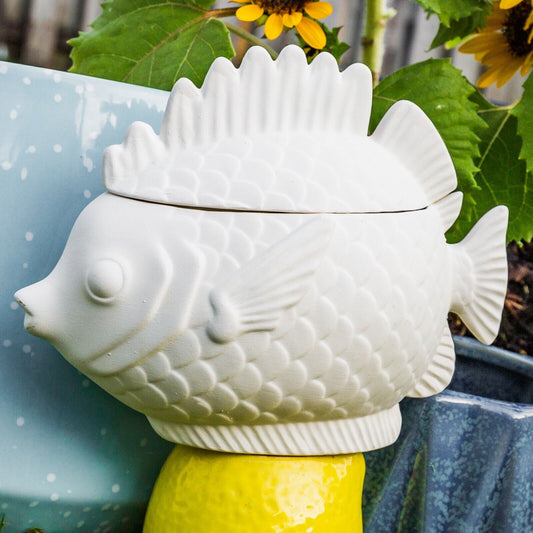 Tropical Fish Box Container 6.75" Ceramic Bisque Ready To Paint Pottery