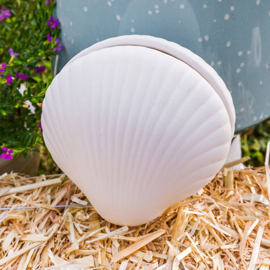 Clam Seashell Jewelry Box 4.7" Ceramic Bisque Ready To Paint Pottery