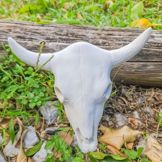Medium Bull Skull 6" Ceramic Bisque Ready To Paint Pottery