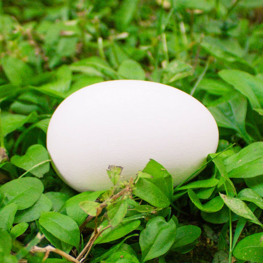 Smooth Easter Egg 3x2 Ceramic Bisque Ready To Paint Pottery