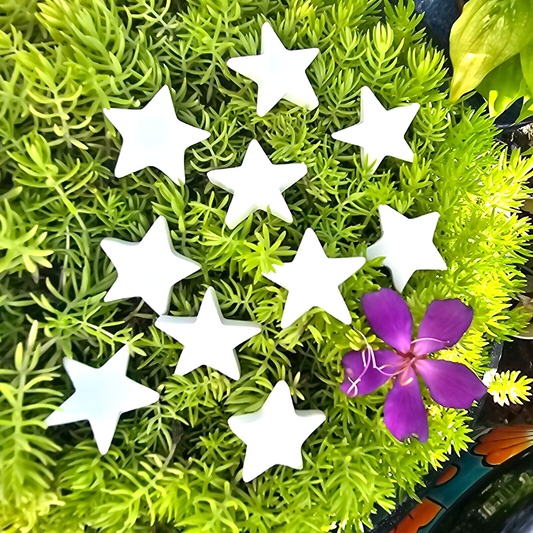 Ten Mini Star Tiles 1.3" Ceramic Bisque Ready To Paint Pottery
