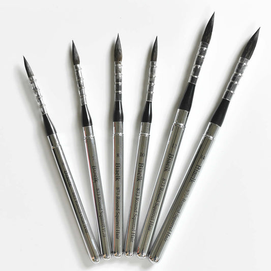 (6x) High Quality Squirrel Hair Mix Steel Cap Paint Brush