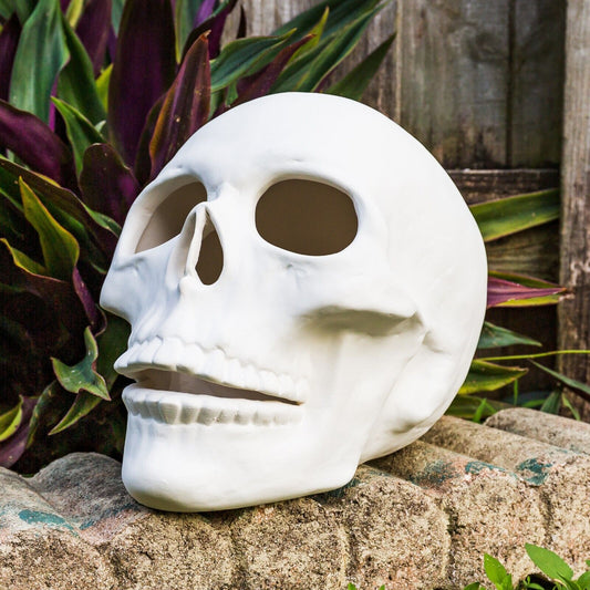 Human Skull Giant 11" Halloween  Ceramic Bisque Ready To Paint Pottery