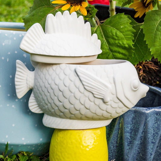 Tropical Fish Box Container 6.75" Ceramic Bisque Ready To Paint Pottery