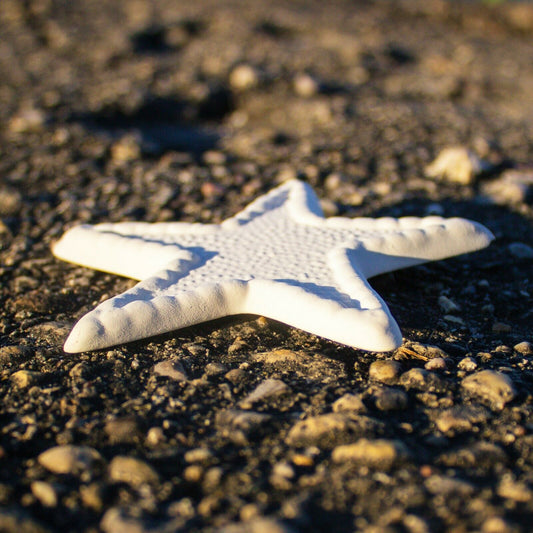 Flat Starfish Decorative 4" Ceramic Bisque Ready To Paint Pottery