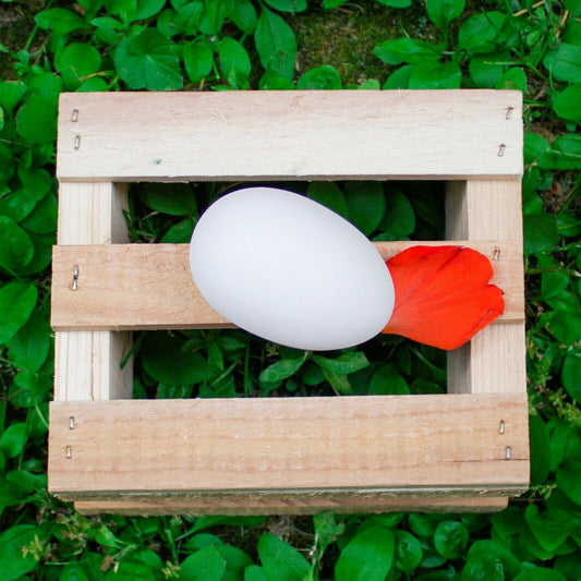 Smooth Easter Egg 3x2 Ceramic Bisque Ready To Paint Pottery