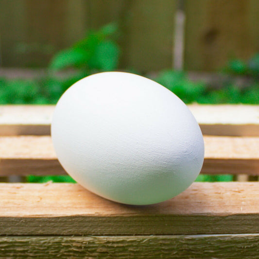 Smooth Easter Egg 3x2 Ceramic Bisque Ready To Paint Pottery