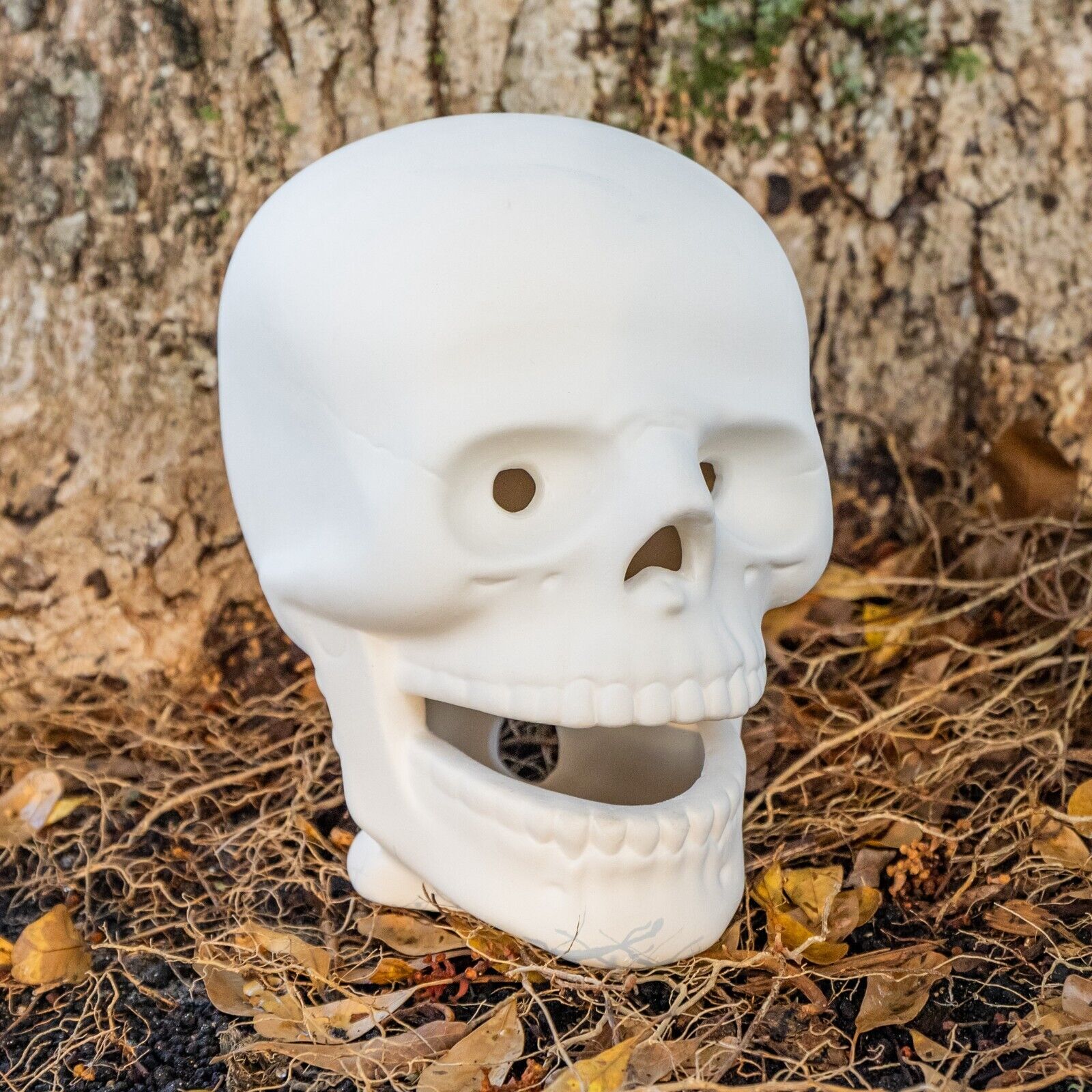 Sugar Skull Plate - Paint Your Own Ceramic Bisque for Dia de los
