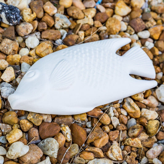 Detailed Tropical Fish Plaque 5" Ceramic Bisque Ready To Paint Pottery