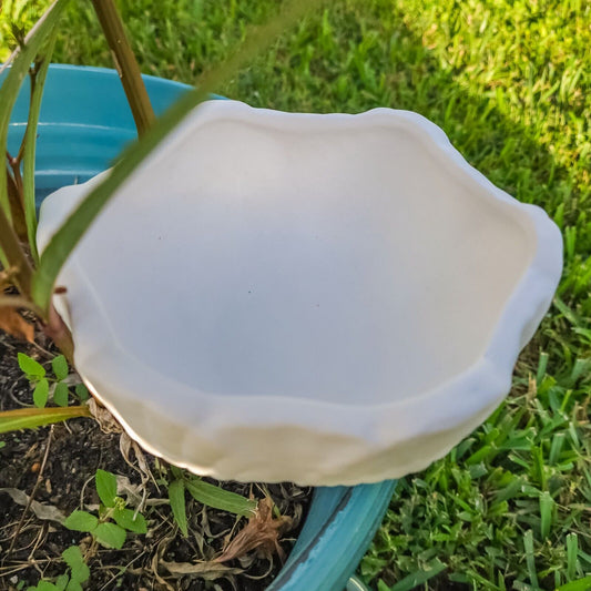 Large Seashell Bowl 6" Ceramic Bisque Ready To Paint Pottery