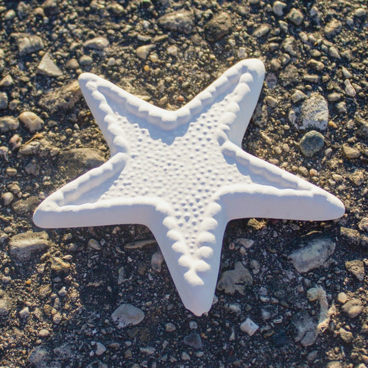 Flat Starfish Decorative 4" Ceramic Bisque Ready To Paint Pottery