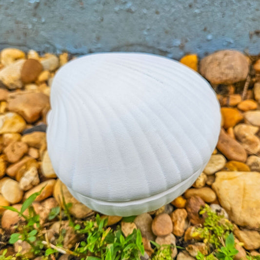 Seashell Jewelry Box 5" Ceramic Bisque Ready To Paint Pottery