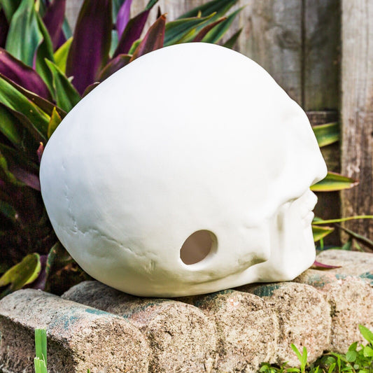 Human Skull Giant 11" Halloween  Ceramic Bisque Ready To Paint Pottery