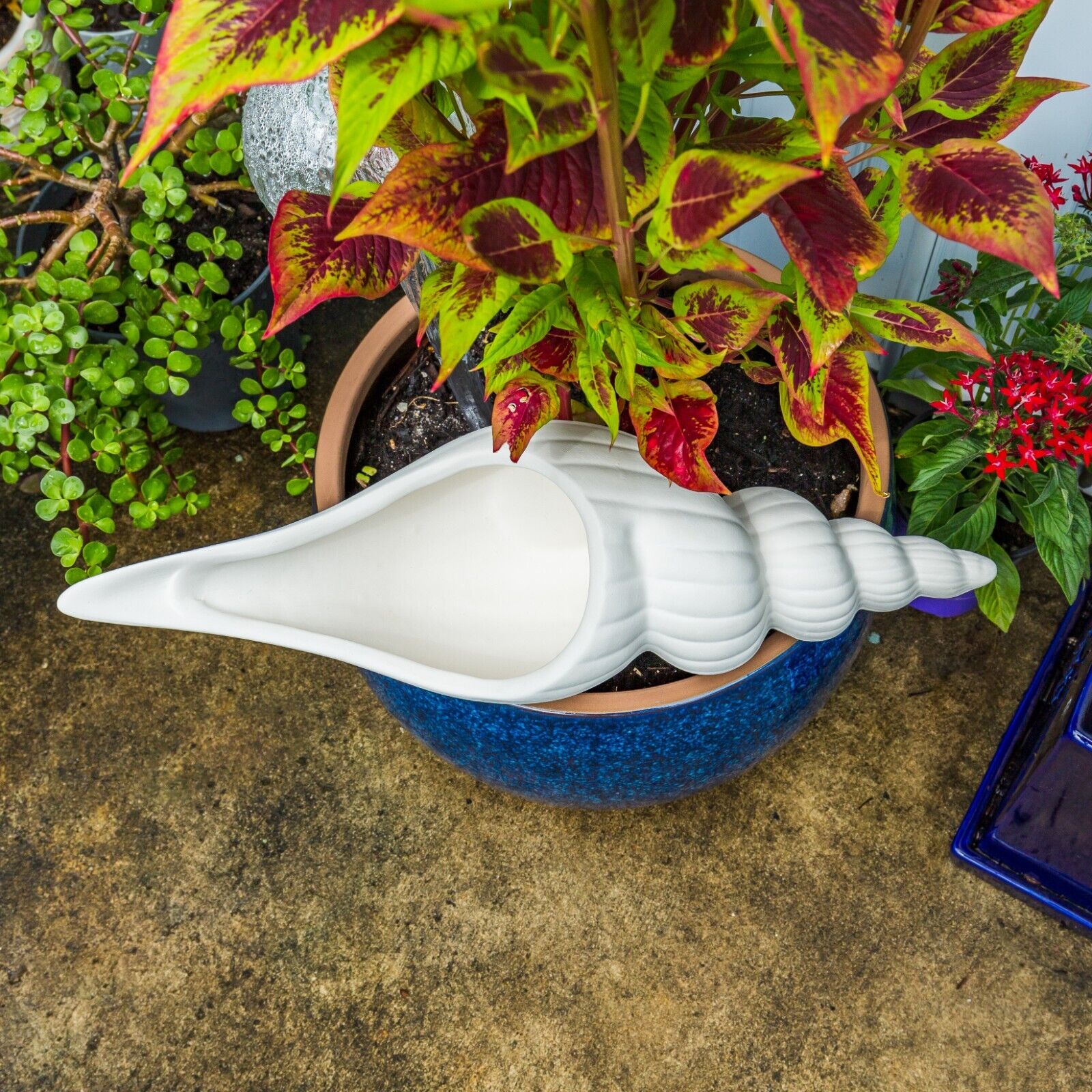 Ceramic Shell Planter Giant Sea Shell Planter 16
