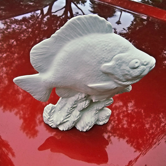 Cichlid Fish On Sea Plant Bed 5.6" Ceramic Bisque Ready To Paint Pottery