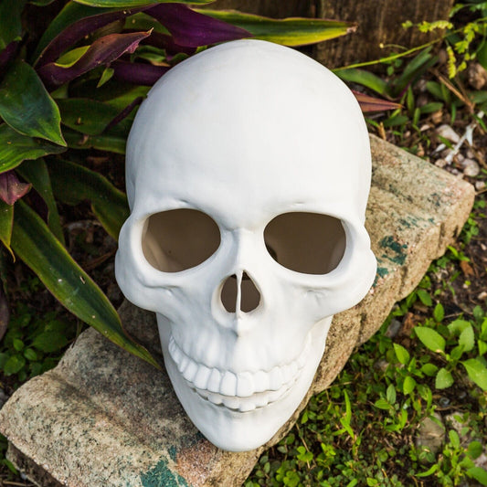 Human Skull Giant 11" Halloween  Ceramic Bisque Ready To Paint Pottery