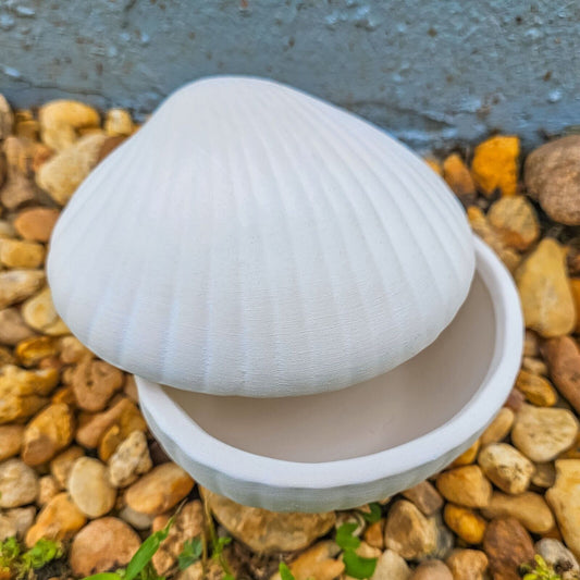 Seashell Jewelry Box 5" Ceramic Bisque Ready To Paint Pottery