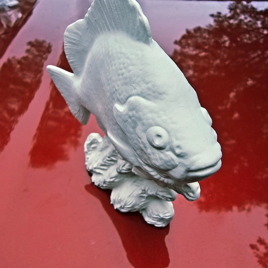 Cichlid Fish On Sea Plant Bed 5.6" Ceramic Bisque Ready To Paint Pottery