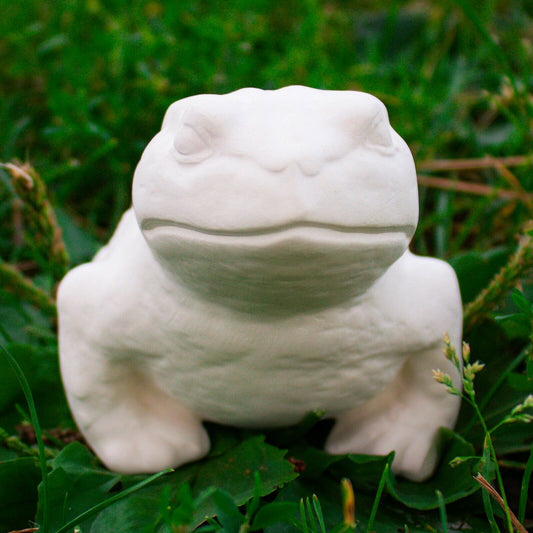 Detailed Sitting Toad Frog 4x3  Ceramic Bisque Ready To Paint Pottery