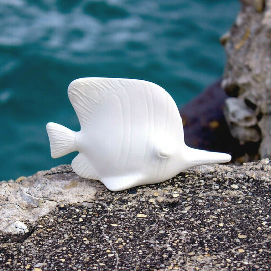 Tropical Fish 6" Ceramic Bisque Ready To Paint Pottery