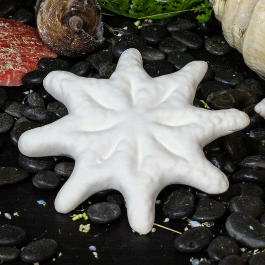 Starfish Decorative Realistic 3" Ceramic Bisque Ready To Paint Pottery