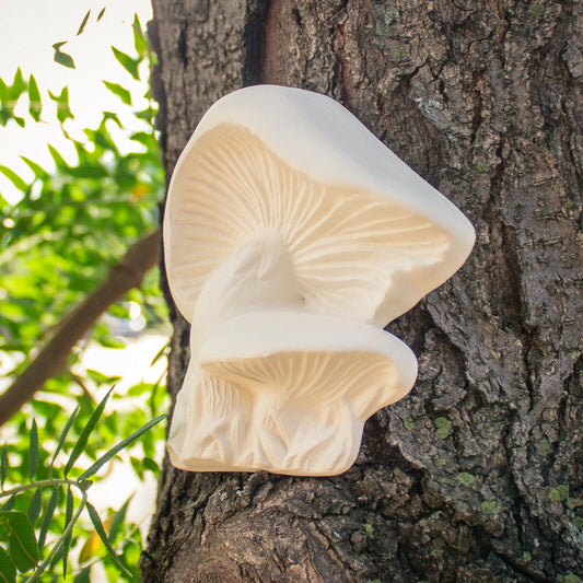 Flat Mushrooms Decoration 5x4 Ceramic Bisque Ready To Paint Pottery