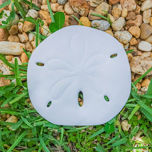 Seashell Sand Dollar 6" Ceramic Bisque Ready To Paint Pottery